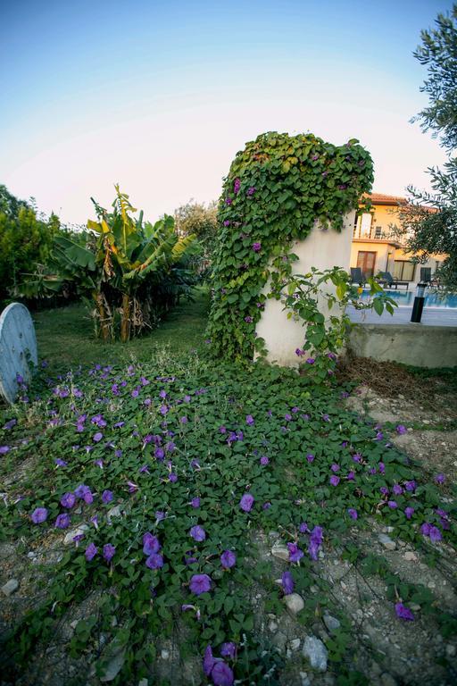 Hera Kyrenia Bb Guest house Kazaphani