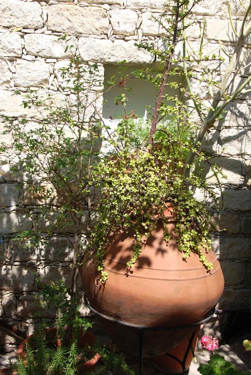 Apartment Kontoyiannis House *