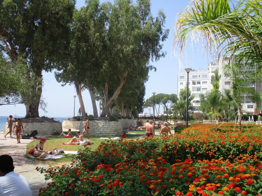 Galatex Beach Studio *