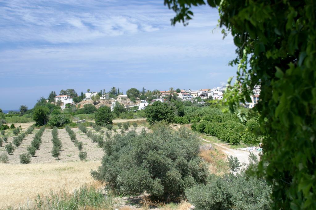 Hotel Alkionest 2*
