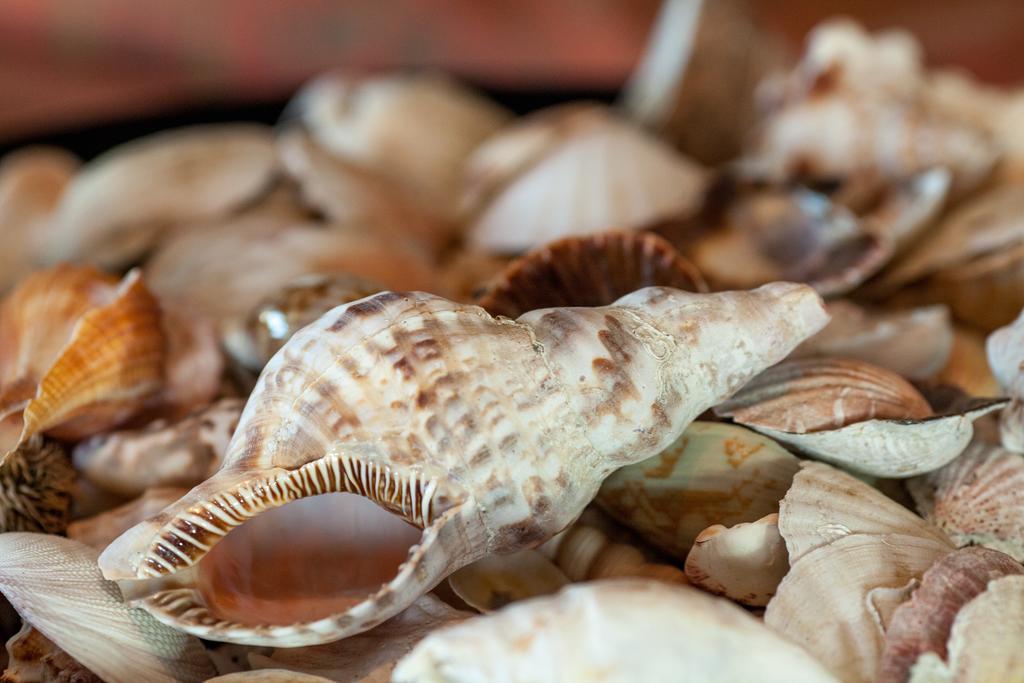 Fata Morgana Pomos