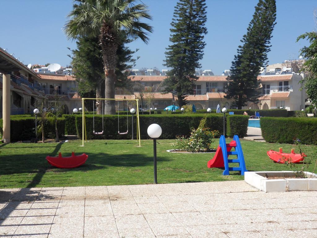 Palm 26 *