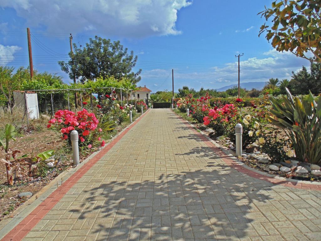 Eliofos Luxury Pousada