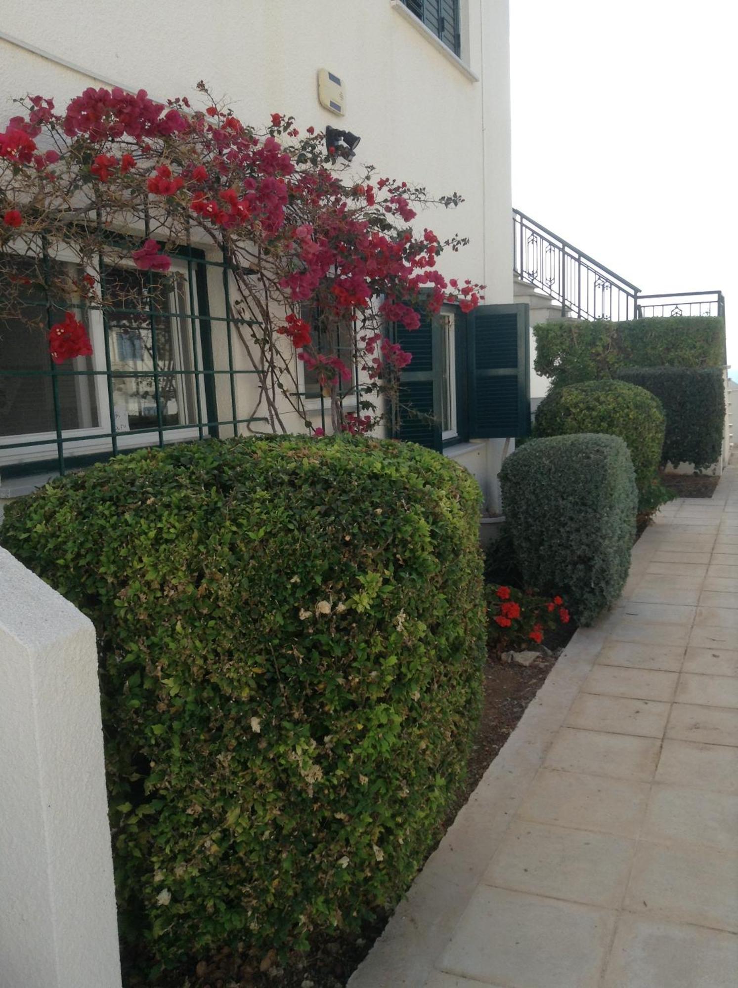 Pelagos Hill Paphos