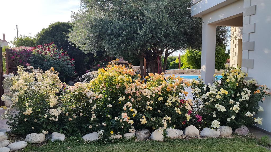 Holiday home Jaime Cyprus *