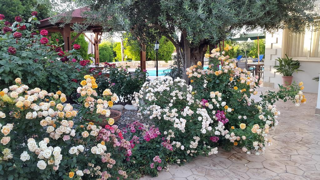 Holiday home Jaime Cyprus *