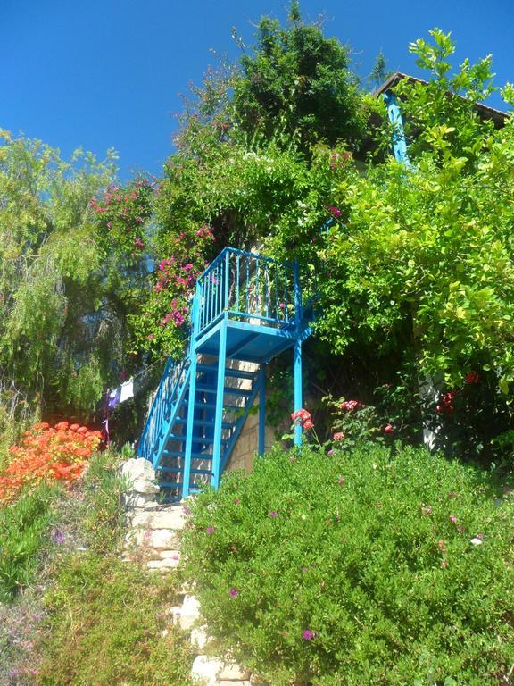 Arodaphne Villa *