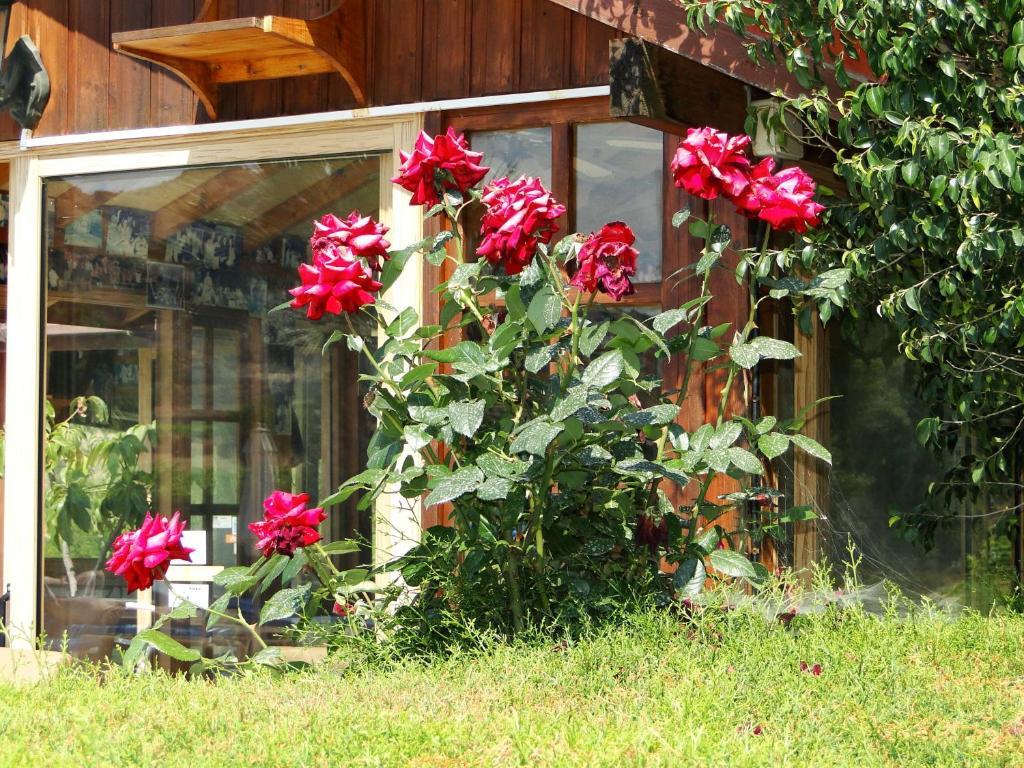 Ampelokipi Holiday Aparthotel 2*