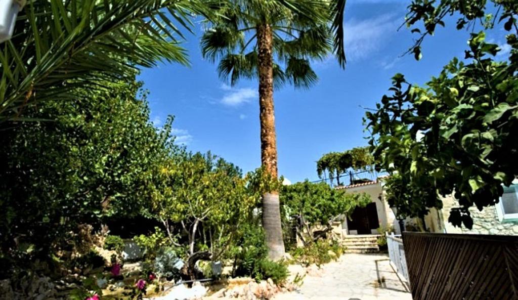 Rose Garden * Peristerona (Paphos)
