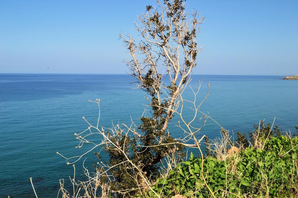 Pousada Fata Morgana *