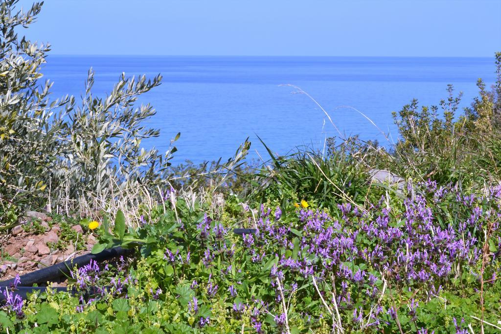 Pousada Fata Morgana Pomos