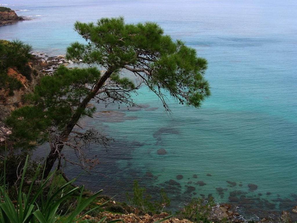 Koumasia Seaview Peyia