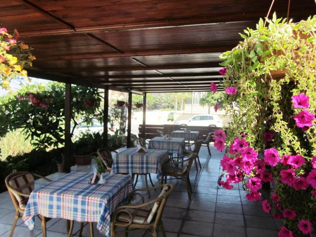 Georgia Paphos