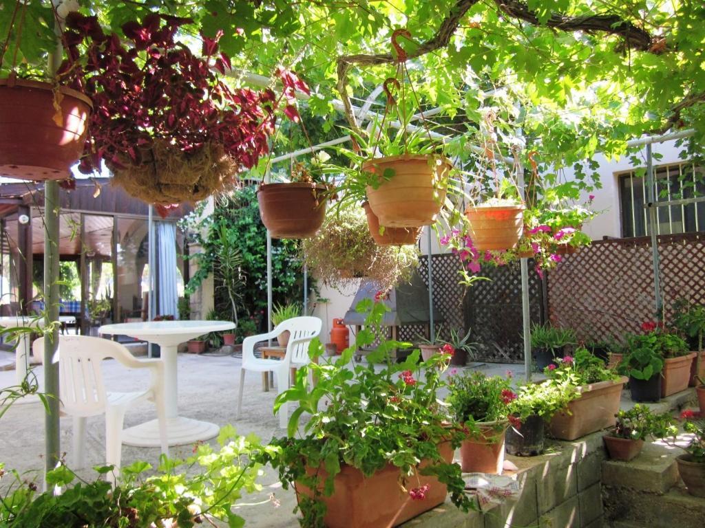 Aparthotel Georgia Paphos