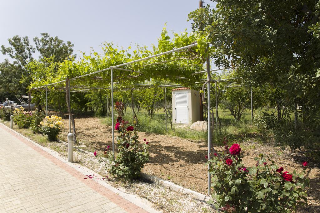 Eliofos Luxury Polis