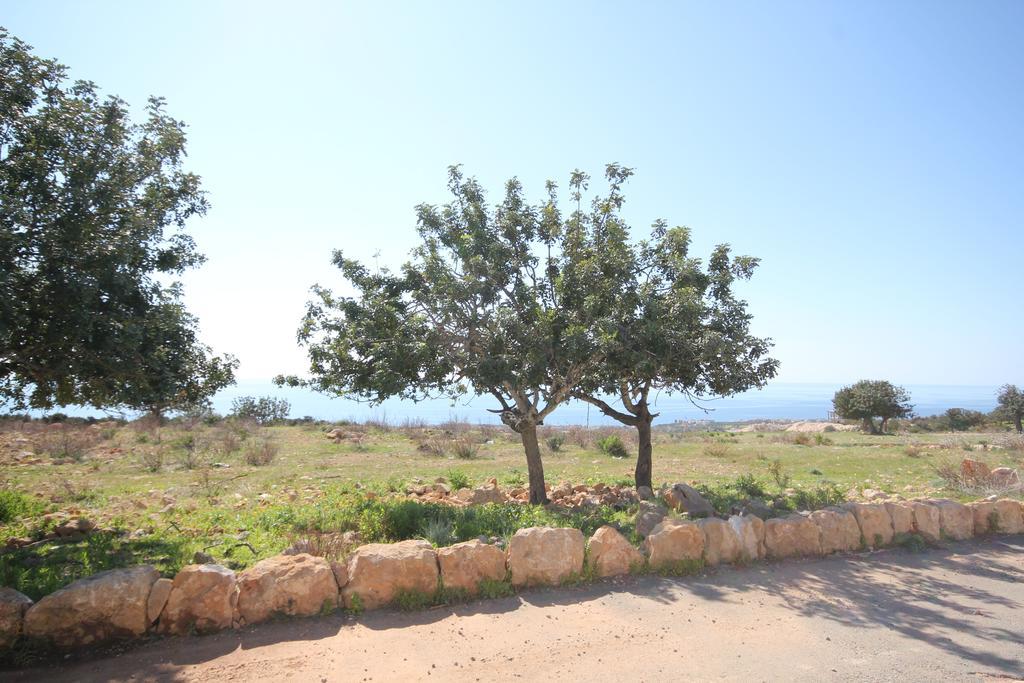 Koumasia Seaview Peyia