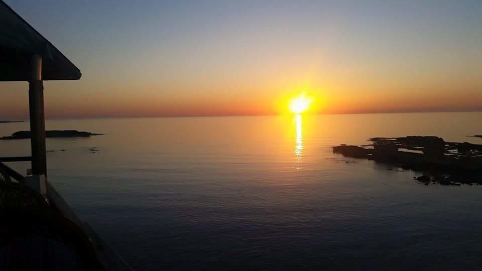Paradise Karpaz & Restaurant Guest house