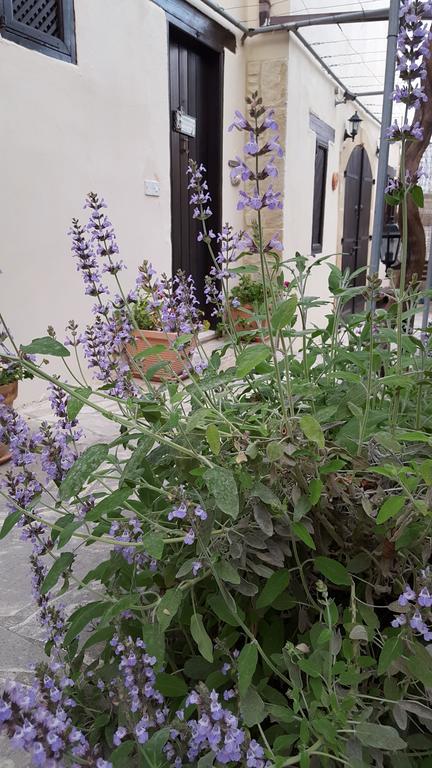 Vasilion Agrotourism Holiday home