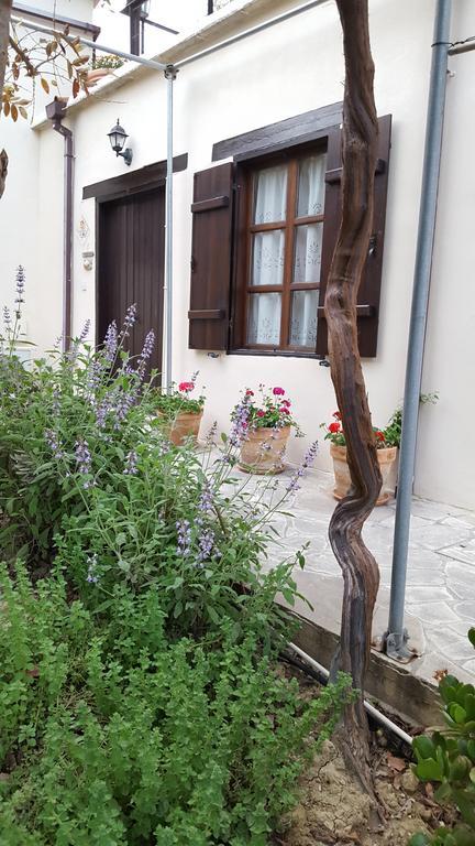 Vasilion Agrotourism Holiday home *