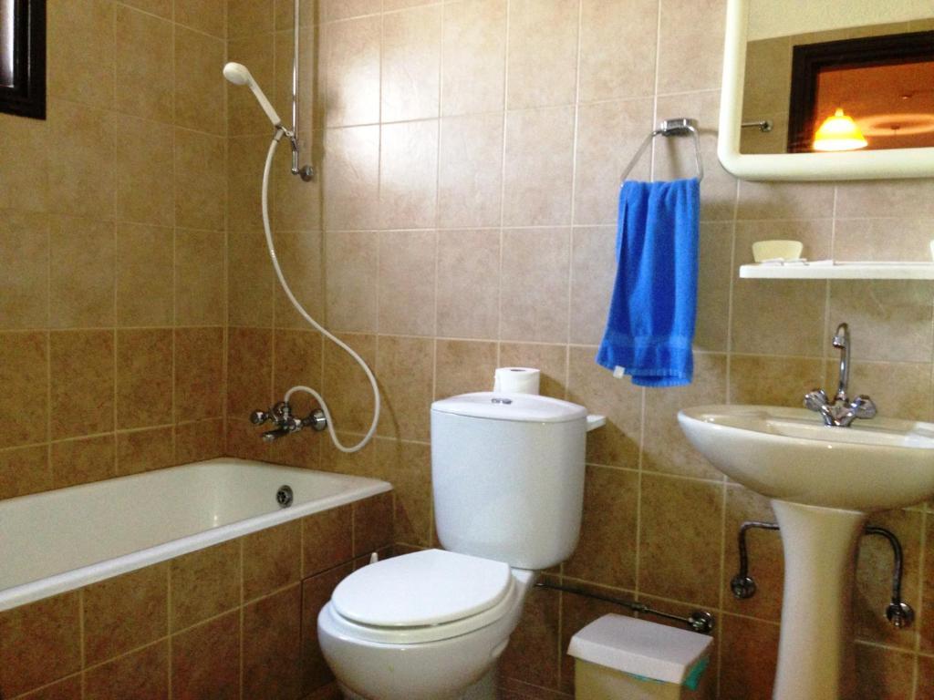 Aparthotel Carina Agia Napa