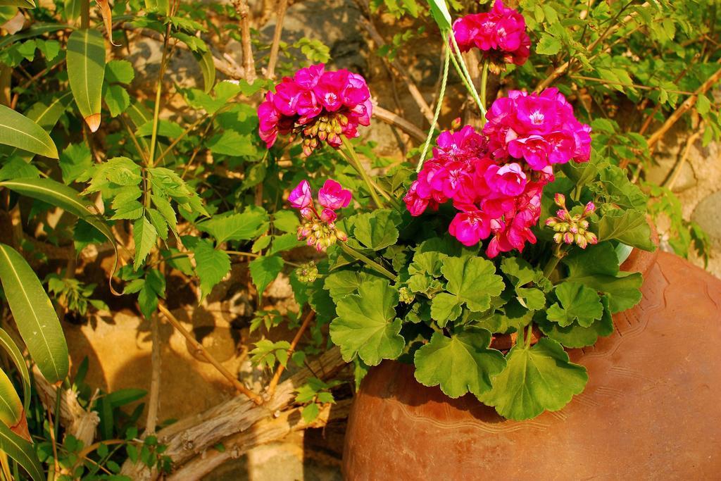 Mourayio Apartment