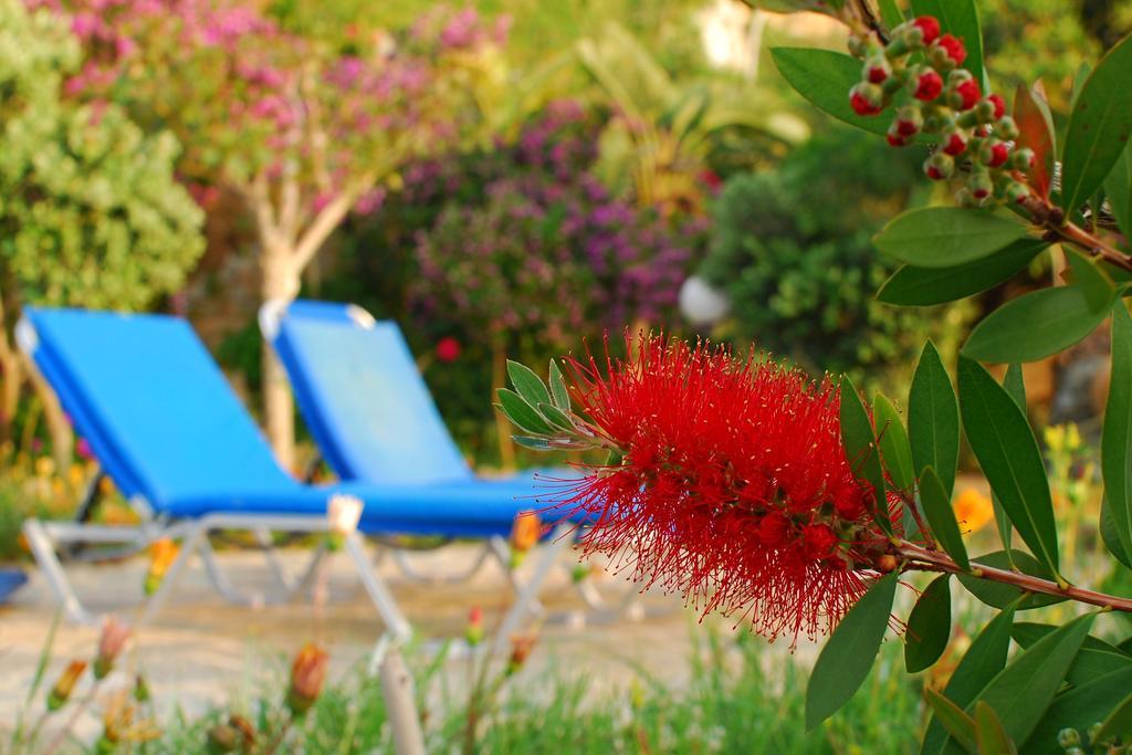 Mourayio Apartment Pomos