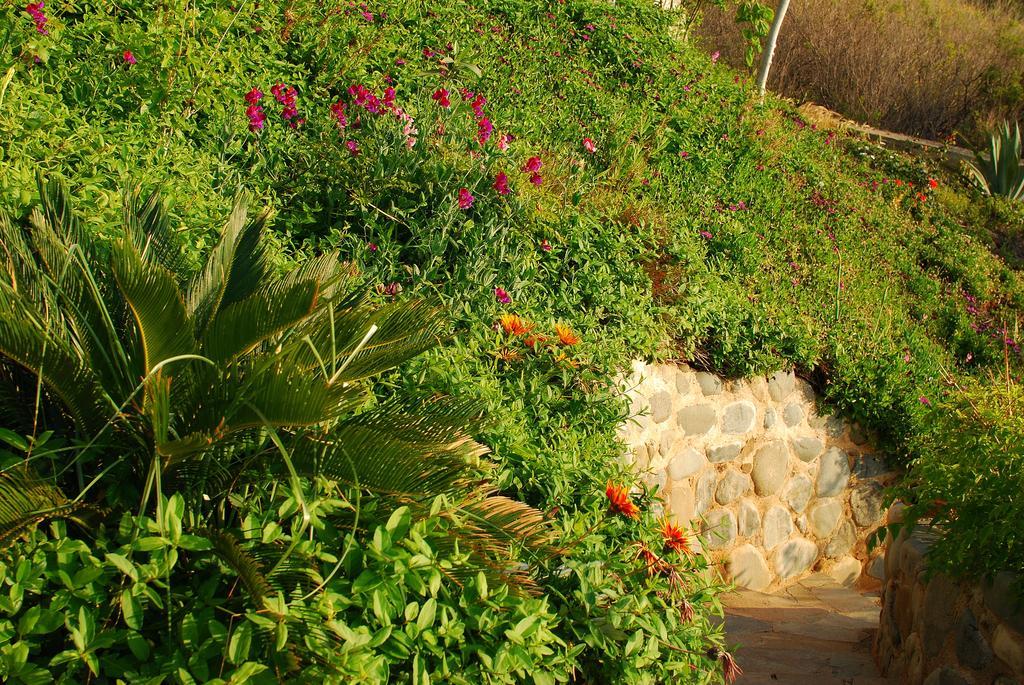 Mourayio Apartment