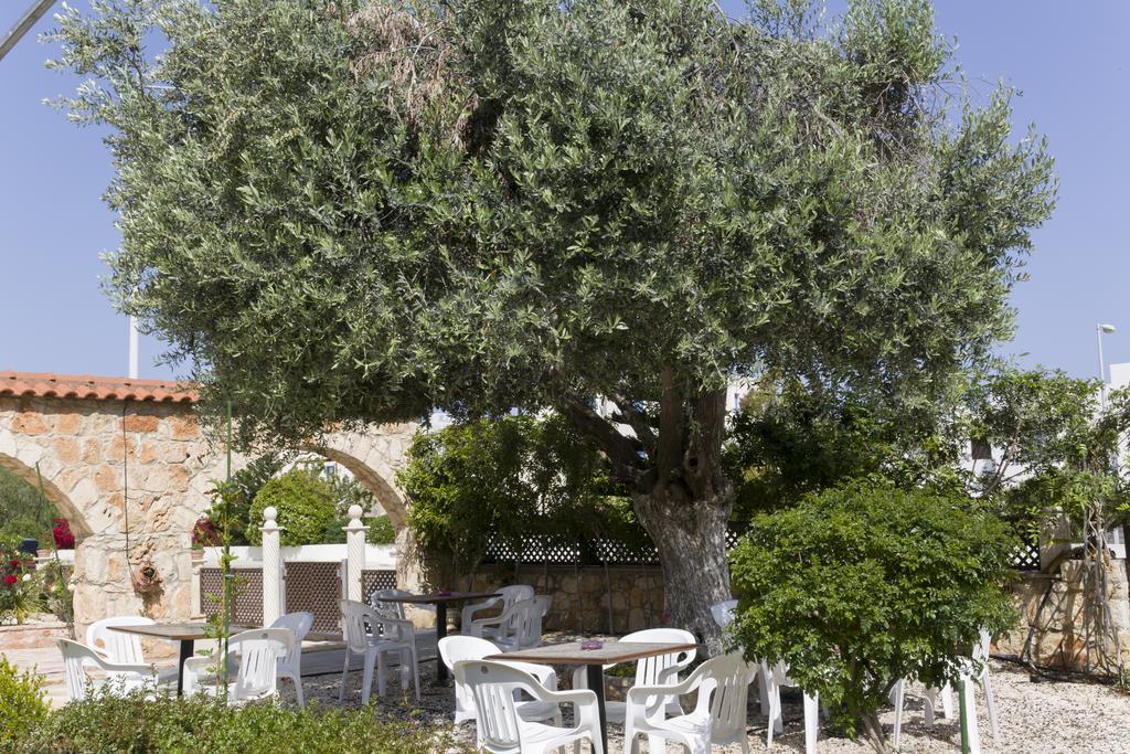 Eliofos Elegant Maisonettes Aparthotel Polis