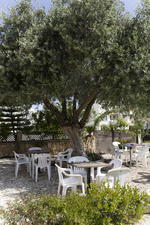 Aparthotel Eliofos Elegant Maisonettes Polis