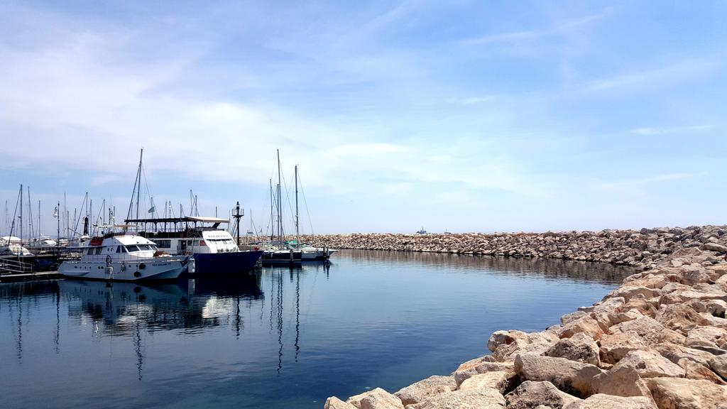 Ithaki Phinikoudes No. 205 Larnaca