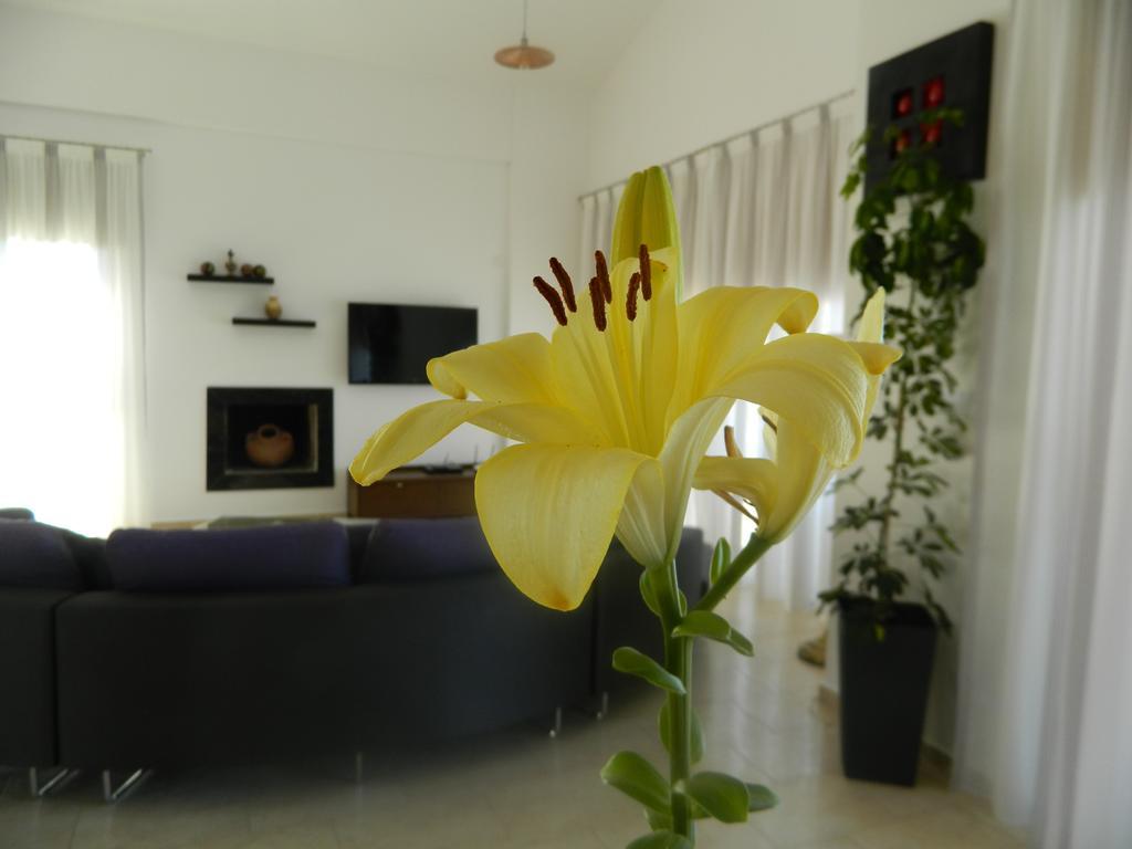 Dionysos Villa *