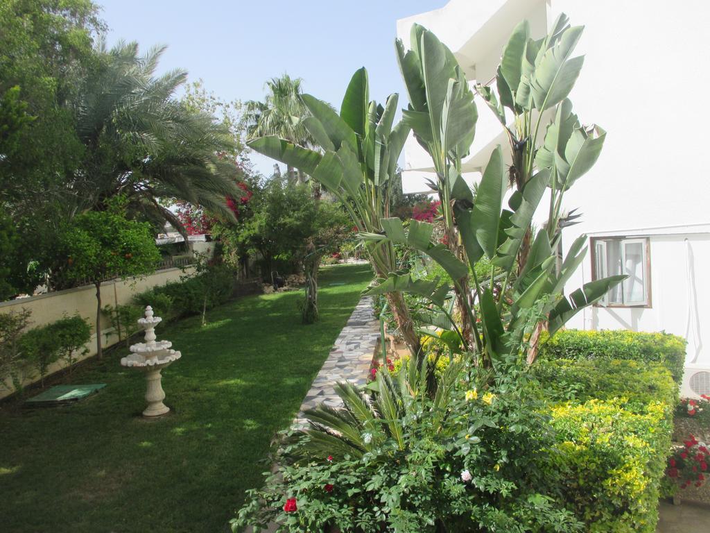Tsialis Larnaca