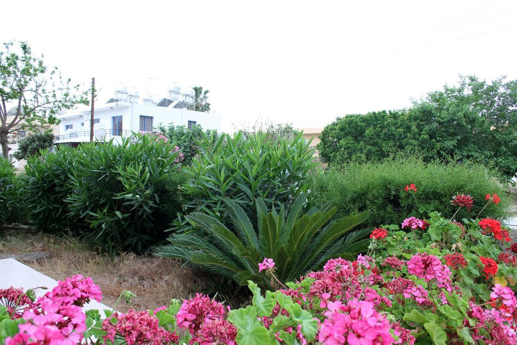 Constantia Gardens Appartement Paphos