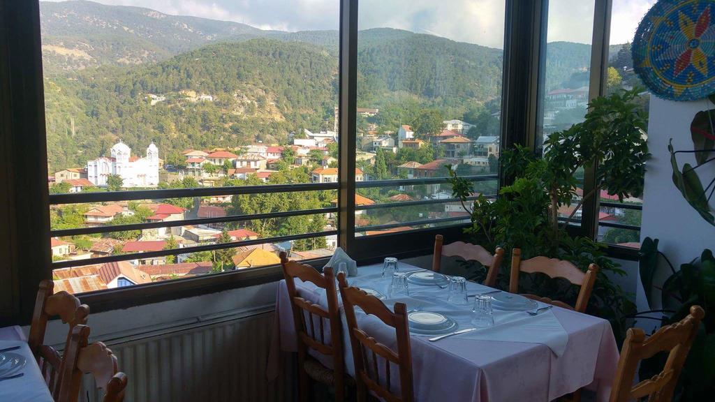 Hotel Two Flowers Pedhoulas
