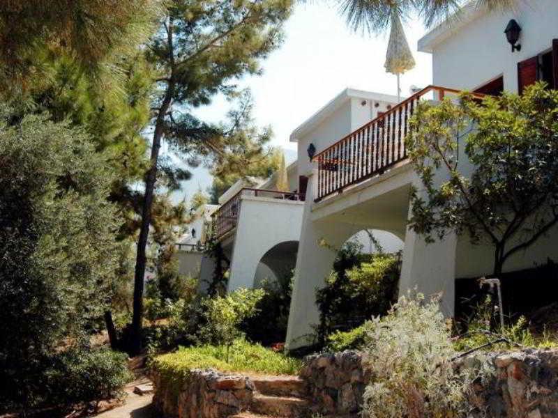 Green Holiday Village Hotel 4*