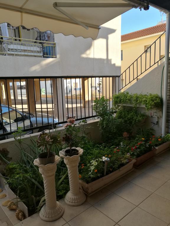 Siamese * Paralimni