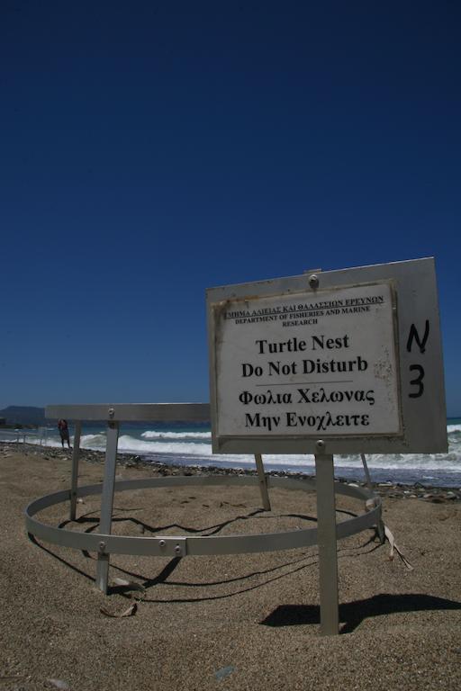 Natura And 3* Polis