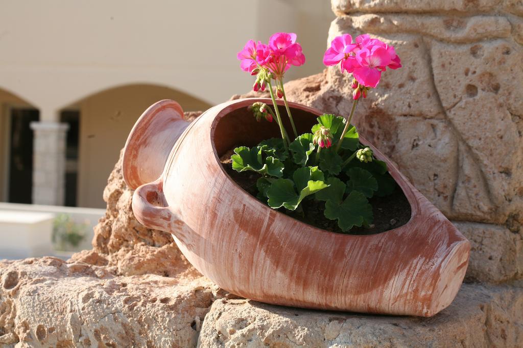 Aphrodite Sands Aparthotel Mandria (Paphos)
