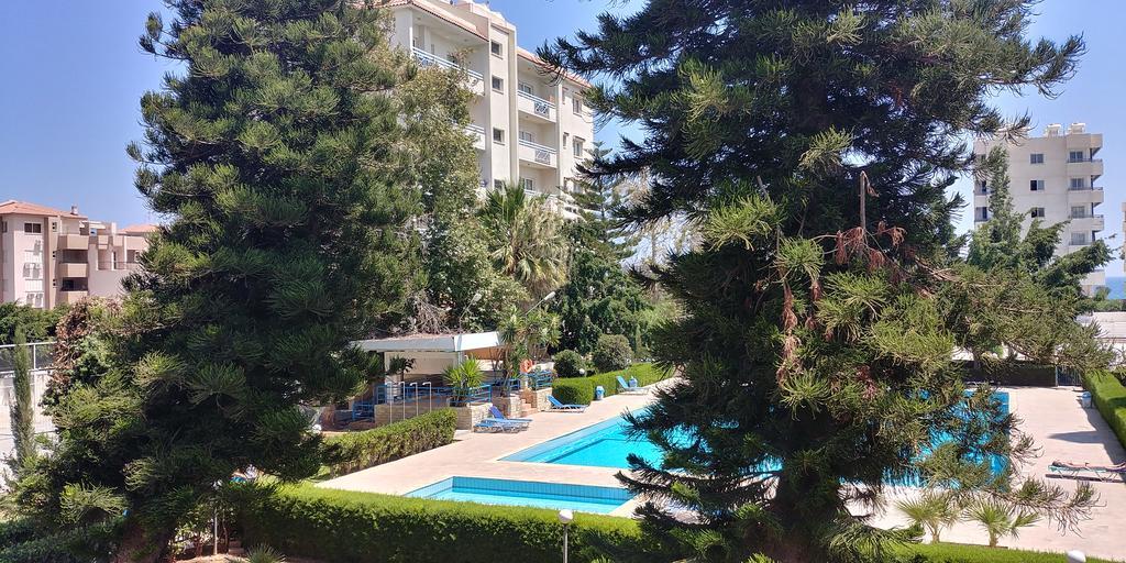 Palm 26 Limasol