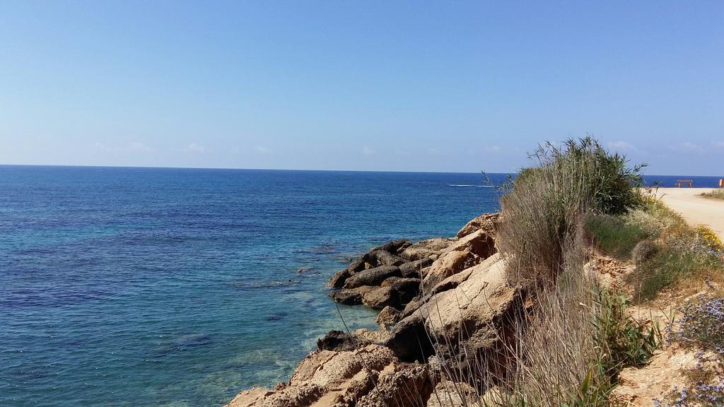 Siblings Nest 3 * Mandria (Paphos)