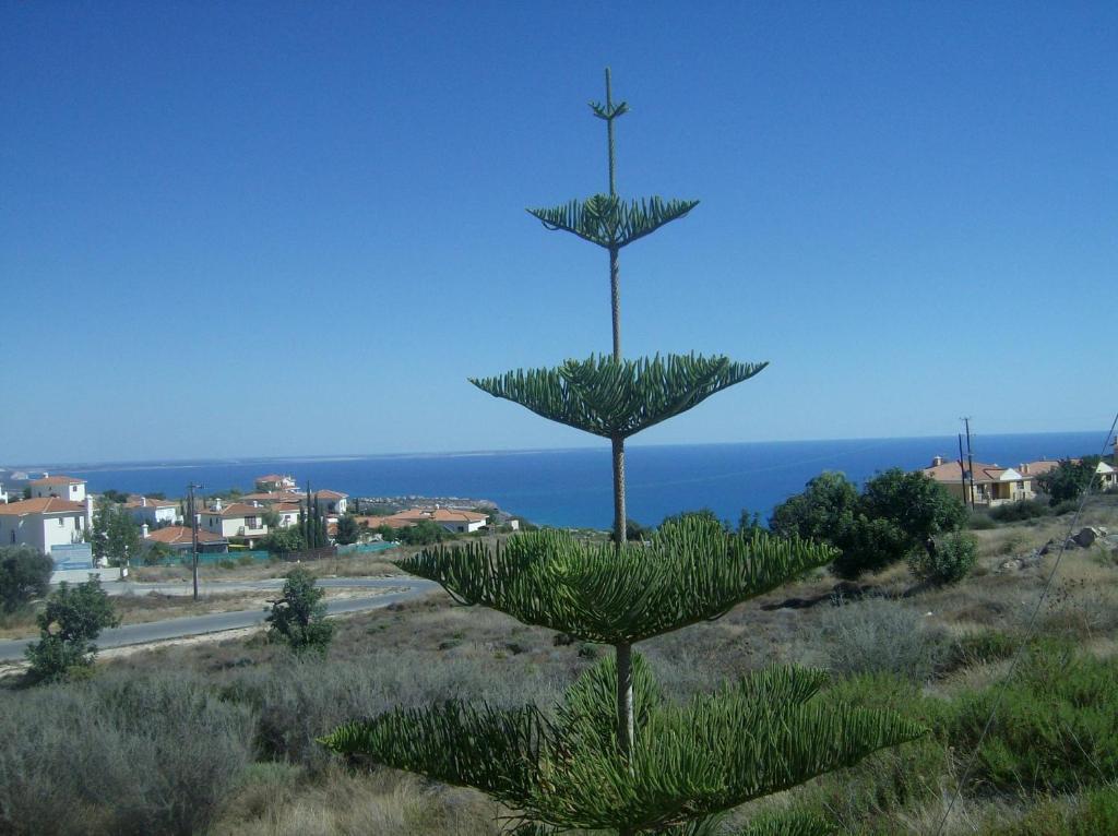 Villa Kapsalia Pissouri