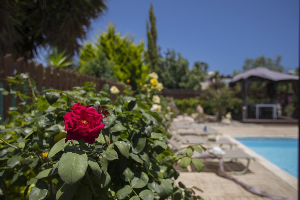Ayia Napa Napa Gardens Villa *