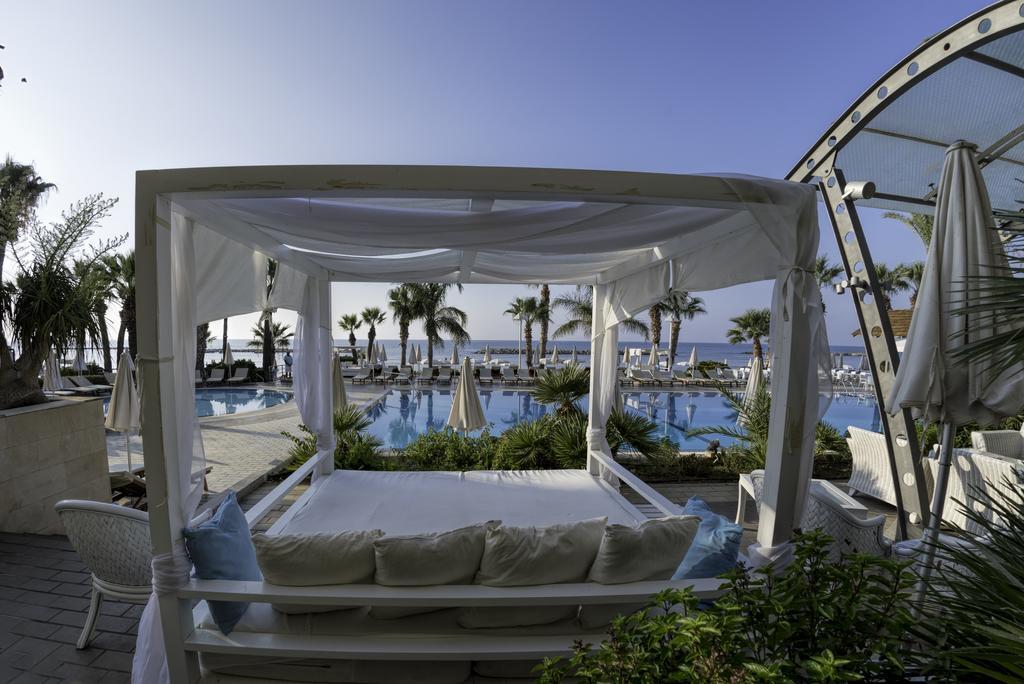 Resort Palm &