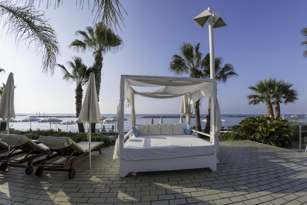 Palm & Larnaca