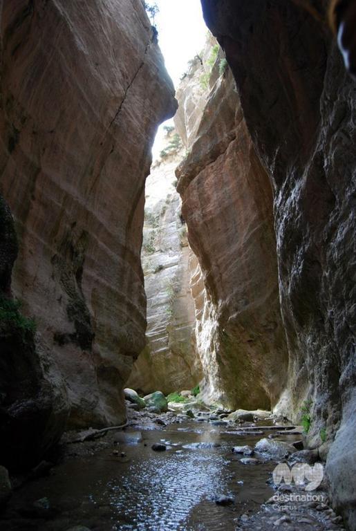 Fontana - & Akamas Area