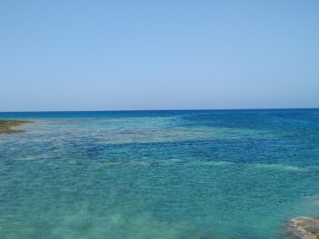 Amigos Mythical Protaras