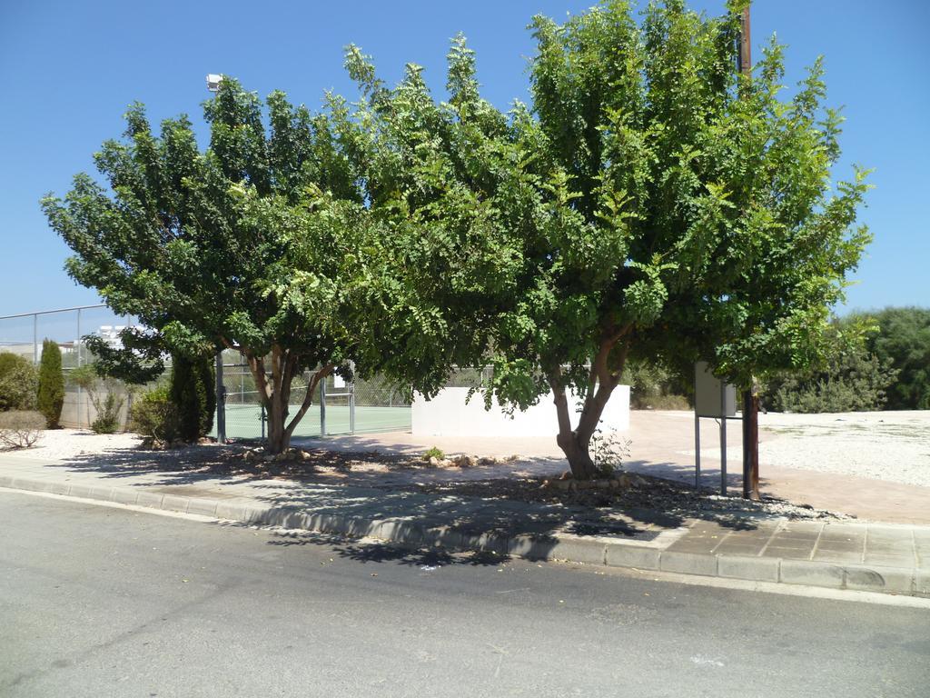Apartment Great Kings 10 Block 19 Protaras