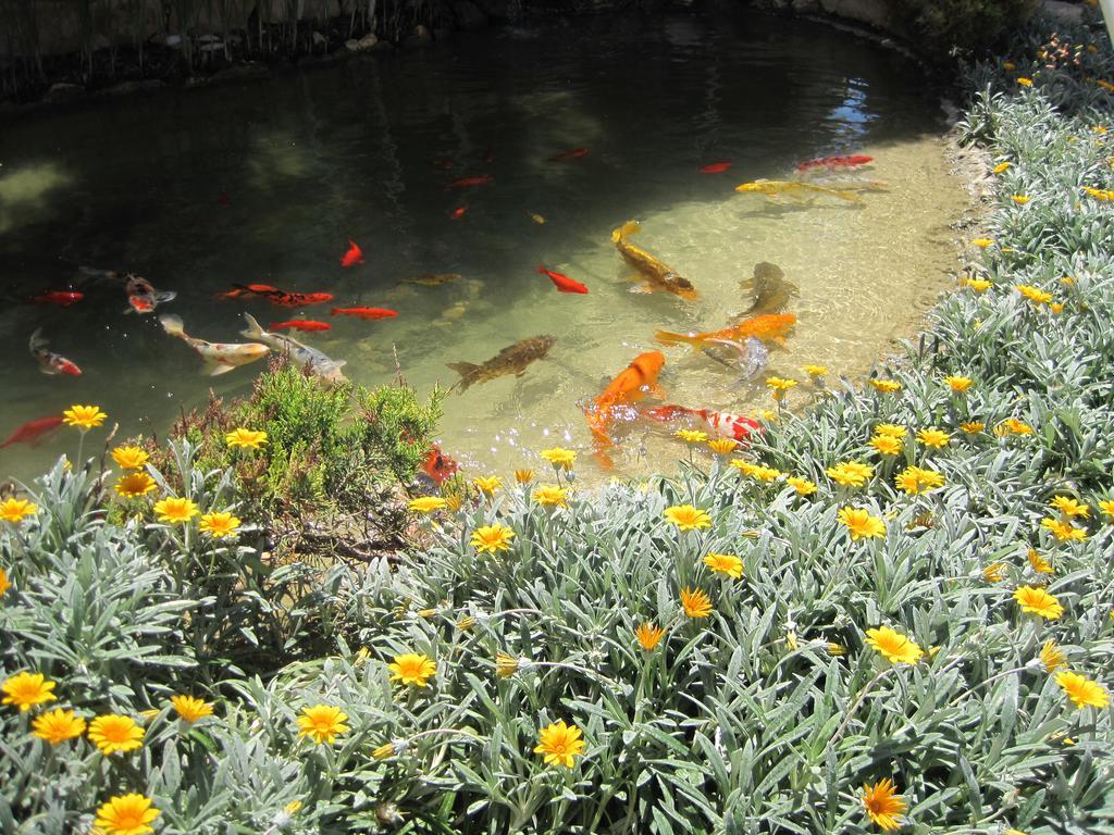 Villa Polyxenia Isaak Heaven Pernera Protaras