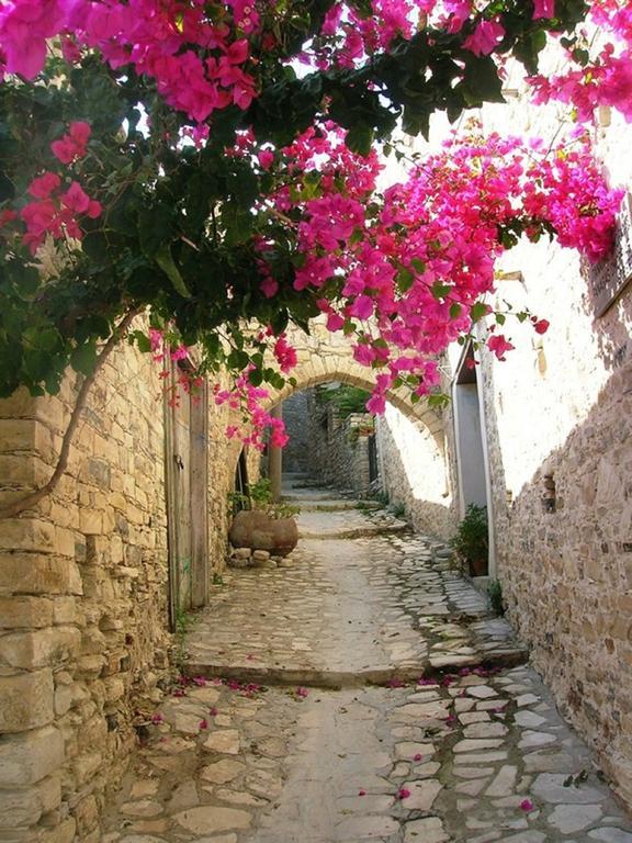 Cyprus Dream Holiday Apartment