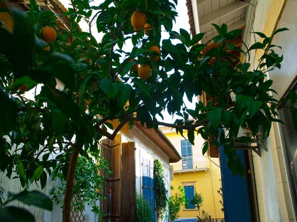 Apartment Cyprus Dream Holiday Voroklini